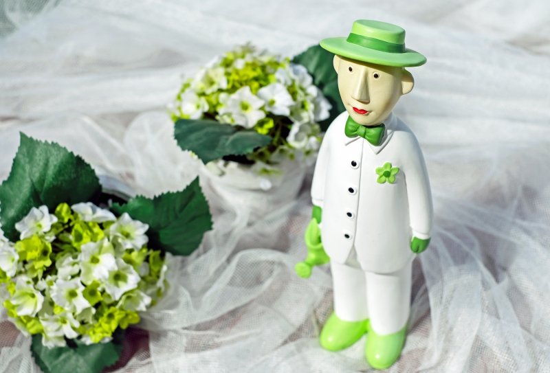 boutique-ST ANTONIN-min_man-person-flower-green-toy-fig-546529-pxhere.com